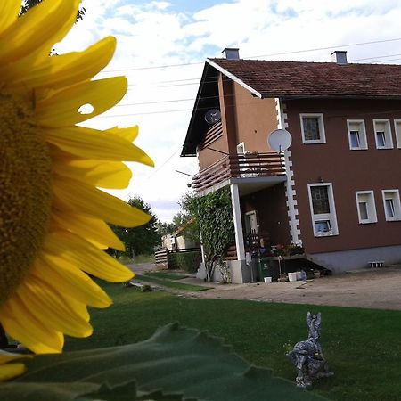 Gacka Rooms Vrhovine Bagian luar foto