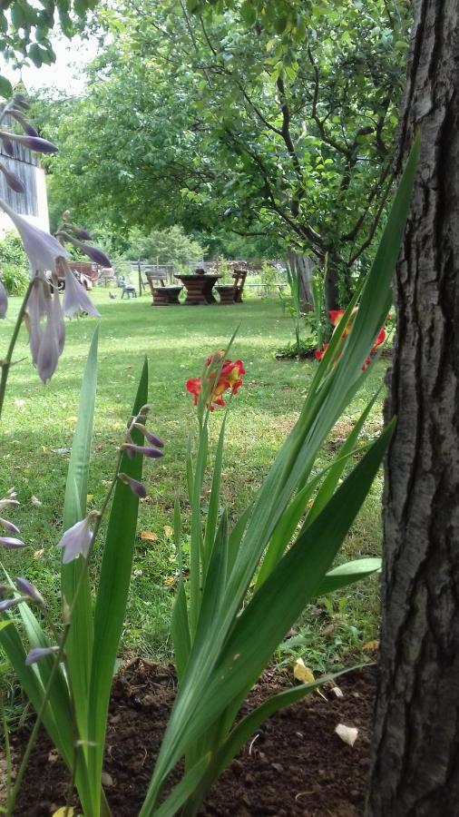 Gacka Rooms Vrhovine Bagian luar foto